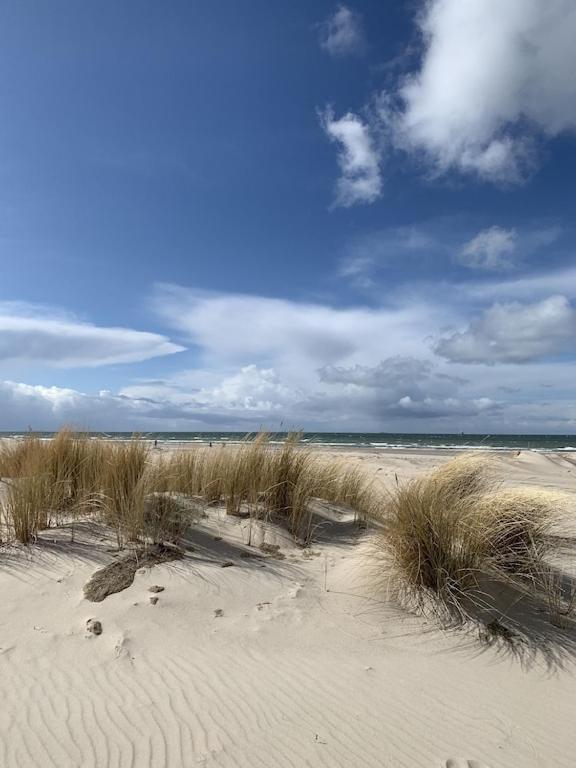 Villa Seeblick Warnemuende - Fewo Mit Meerblick Und Balkon Direkt Am Strand Fuer 2-4 Pers Rostock Exterior photo